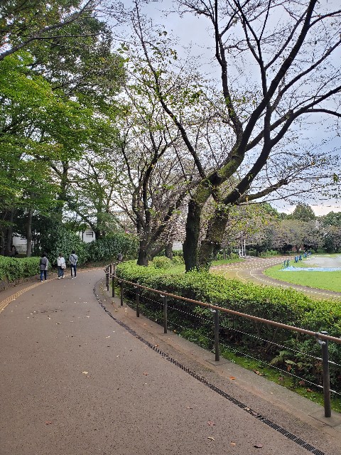 f:id:yon501xx:20210926205511j:image f:id:yon501xx:20210926205511j:image