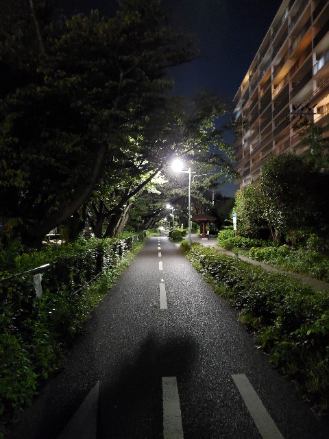f:id:yon501xx:20210929222445j:image