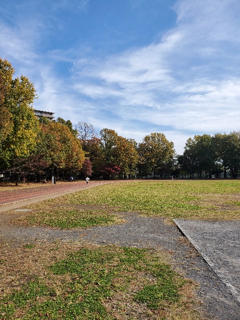 f:id:yon501xx:20211119170129j:image f:id:yon501xx:20211119170129j:image