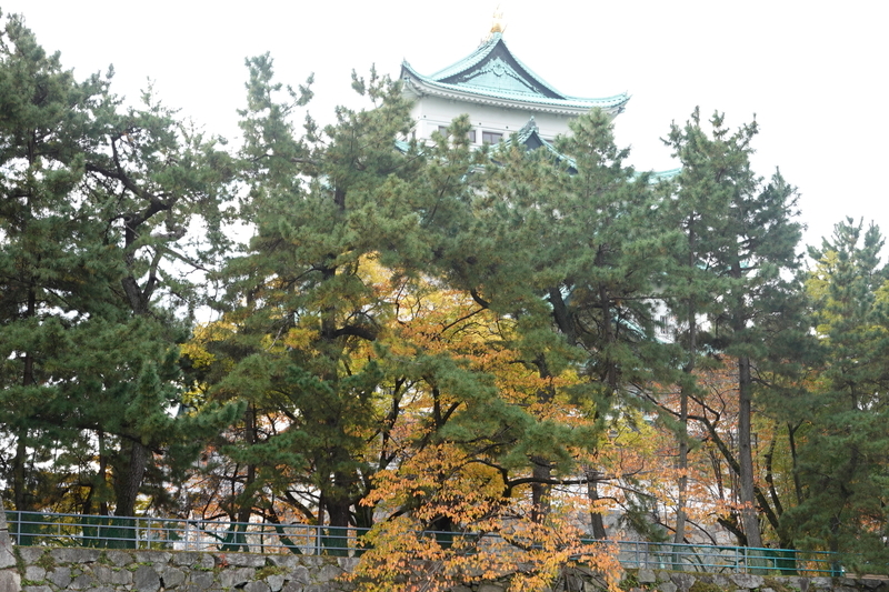 f:id:yona515:20201112153617j:plain f:id:yona515:20201112153617j:plain