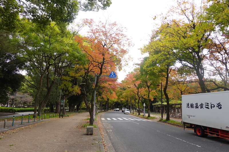 f:id:yona515:20201112153855j:plain f:id:yona515:20201112153855j:plain