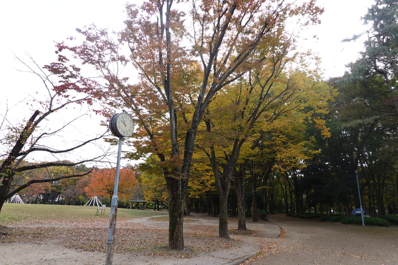 f:id:yona515:20201112153953j:plain f:id:yona515:20201112153953j:plain