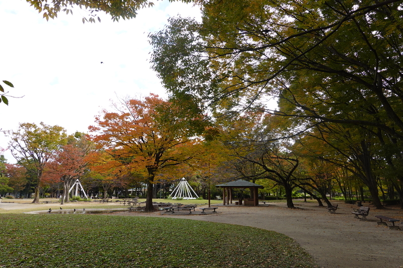 f:id:yona515:20201112154008j:plain f:id:yona515:20201112154008j:plain