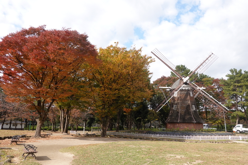 f:id:yona515:20201112154037j:plain f:id:yona515:20201112154037j:plain