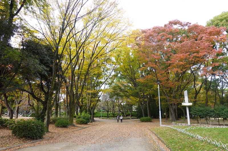 f:id:yona515:20201112154124j:plain f:id:yona515:20201112154124j:plain
