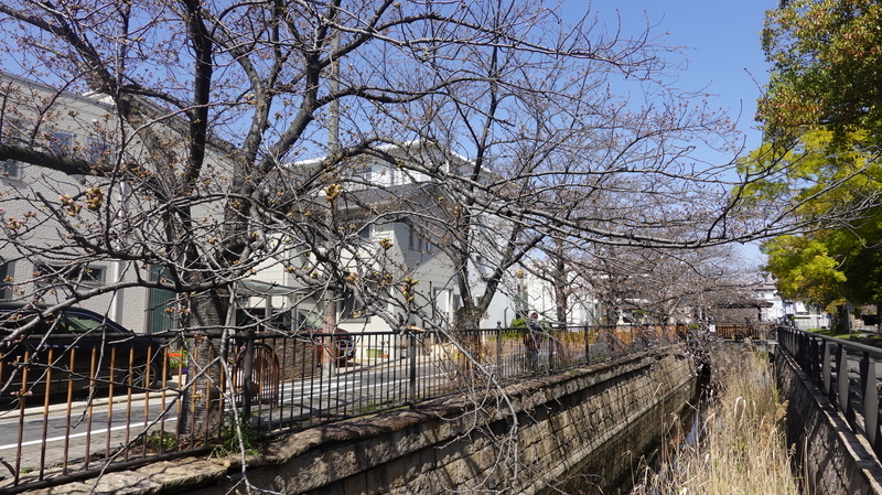 f:id:yona515:20210324070100j:plain