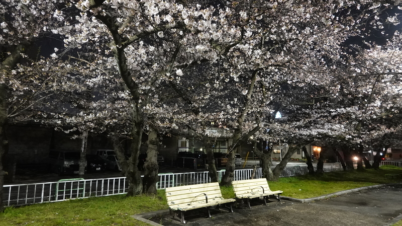 f:id:yona515:20210326050945j:plain