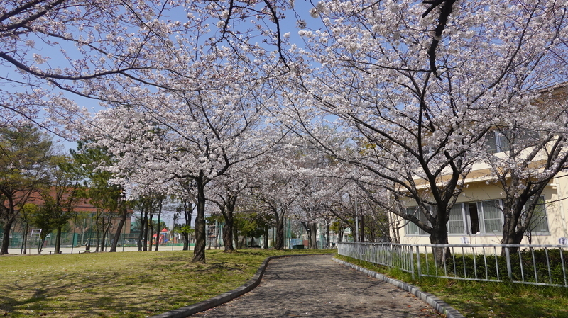 f:id:yona515:20210327061008j:plain