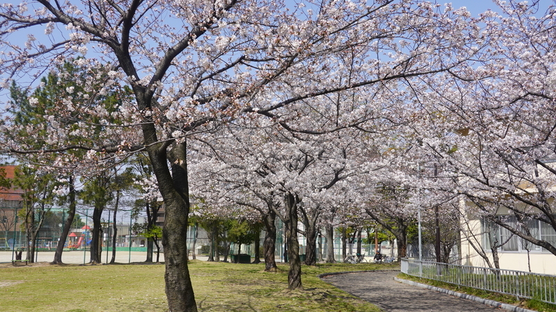 f:id:yona515:20210327061039j:plain