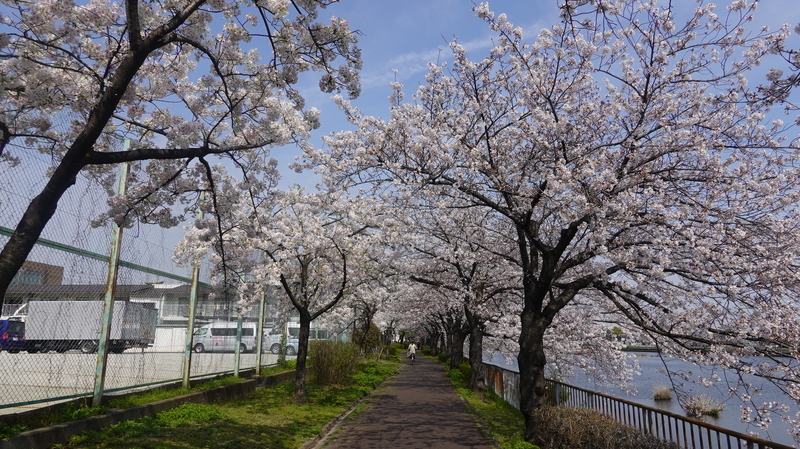 f:id:yona515:20210328073851j:plain