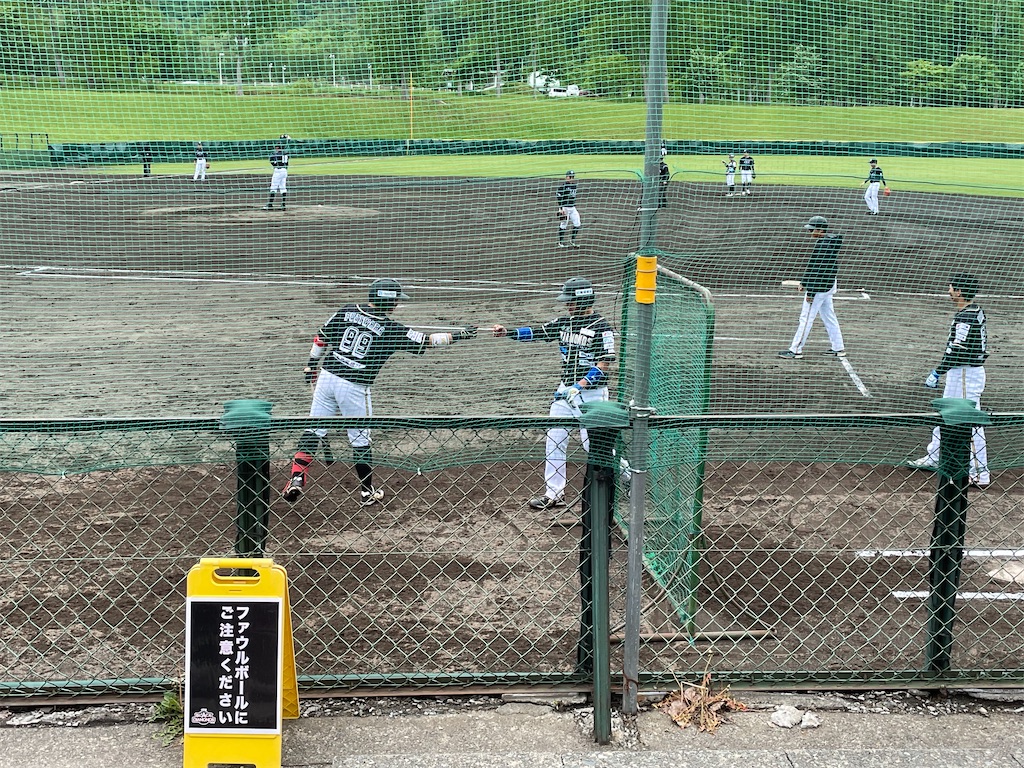 f:id:yonaka_hottuki:20220531205355j:image