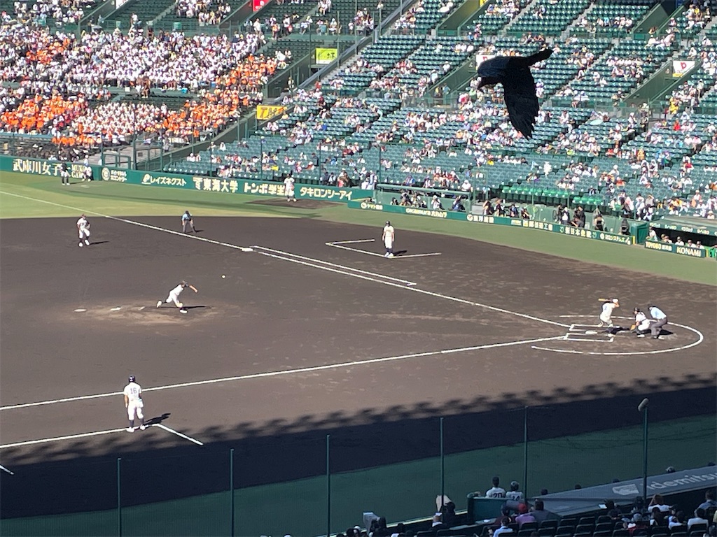 f:id:yonaka_hottuki:20230814230757j:image