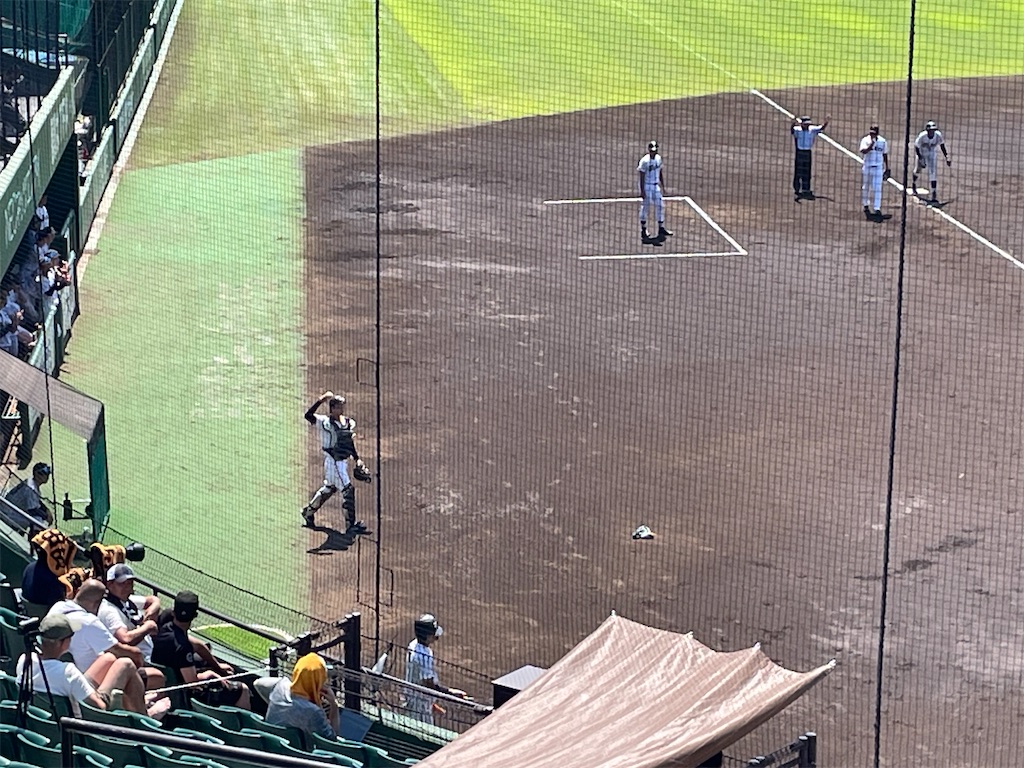 f:id:yonaka_hottuki:20240812155808j:image f:id:yonaka_hottuki:20240812155808j:image