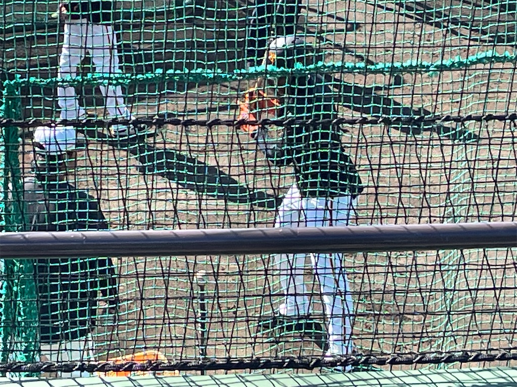 f:id:yonaka_hottuki:20241015135527j:image f:id:yonaka_hottuki:20241015135527j:image