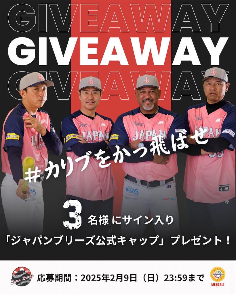 f:id:yonaka_hottuki:20250327230736j:image