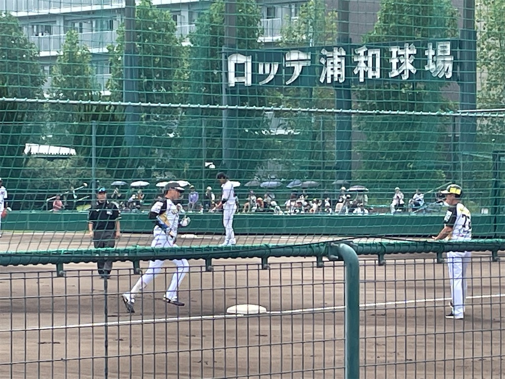 f:id:yonaka_hottuki:20250914222602j:image