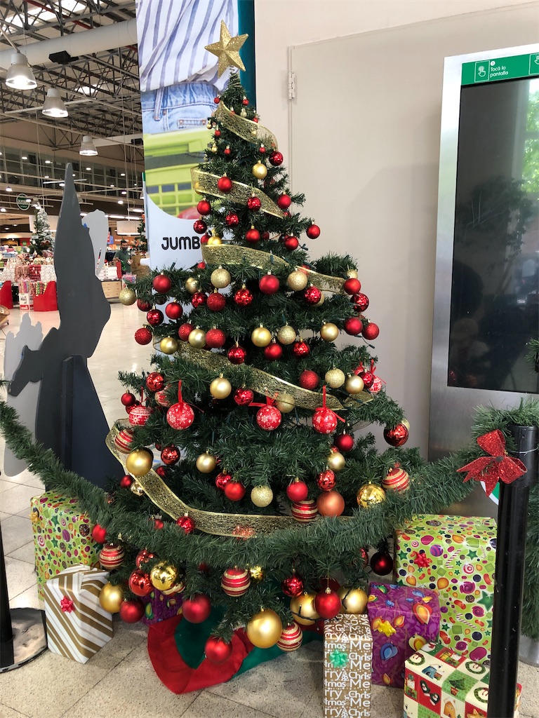真夏のクリスマス準備始まってます 南の島の風ちゃん