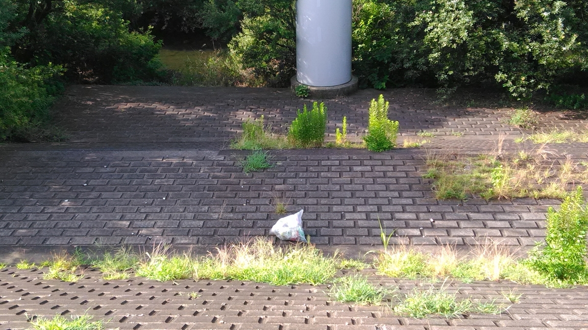 f:id:yonchan324:20190830131139j:plain f:id:yonchan324:20190830131139j:plain