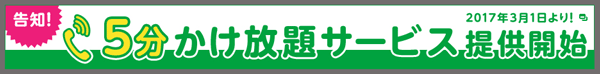 f:id:yone__yasu:20161210134509p:plain