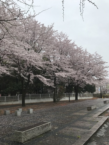 f:id:yoneba_1717:20170409190703j:plain f:id:yoneba_1717:20170409190703j:plain