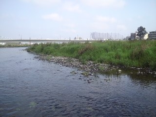 f:id:yonekobo:20110504234838j:image:w400