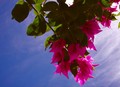20080809111405