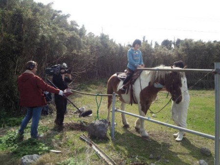f:id:yonemiki:20150305222115j:image:w360:left