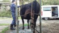 20160206212856