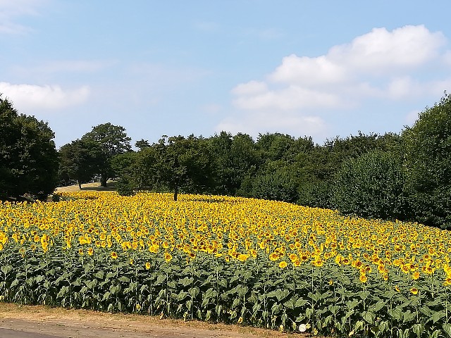 f:id:yonesho1985:20190309143727j:plain f:id:yonesho1985:20190309143727j:plain
