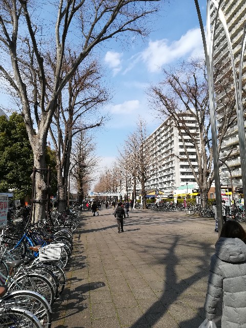 f:id:yonesho1985:20190317171458j:plain f:id:yonesho1985:20190317171458j:plain
