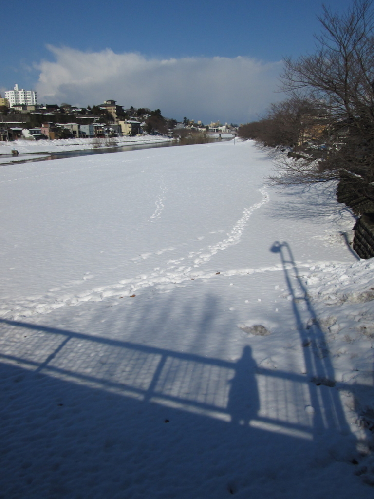 f:id:yonhonda:20180223125836j:plain