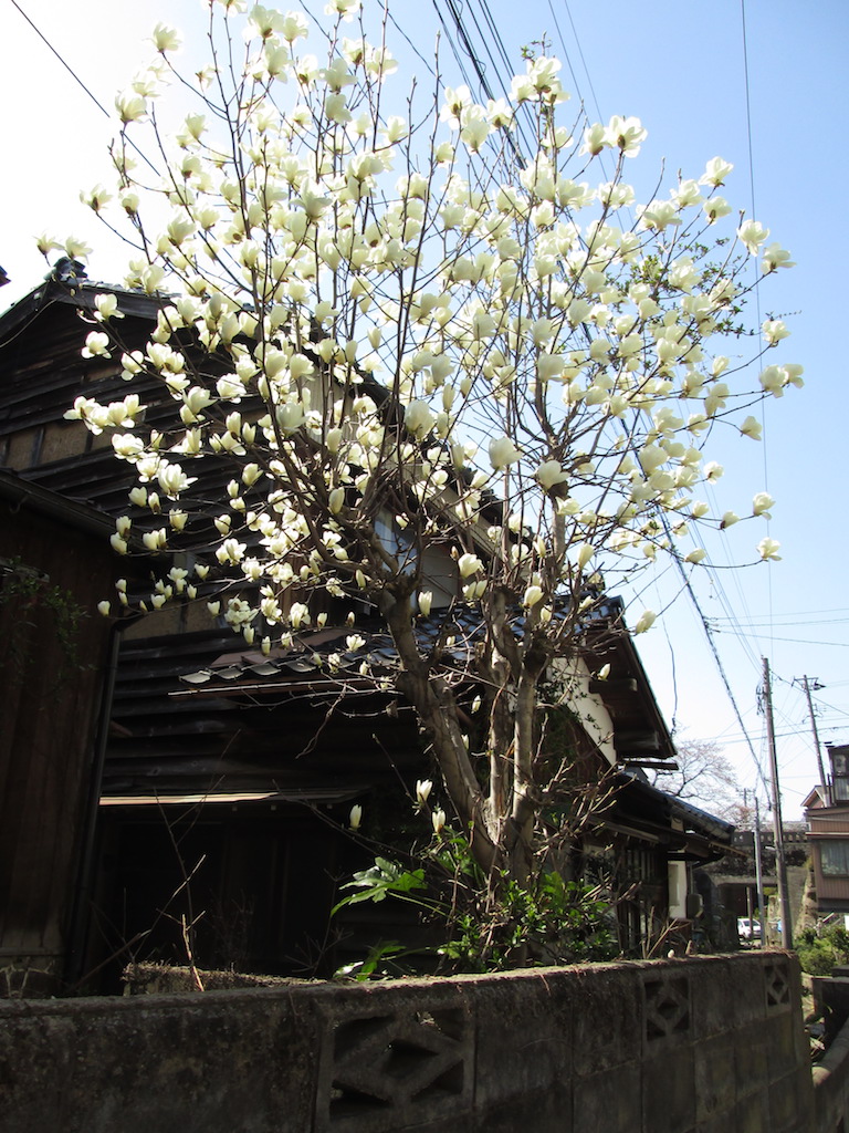 f:id:yonhonda:20180330183136j:plain
