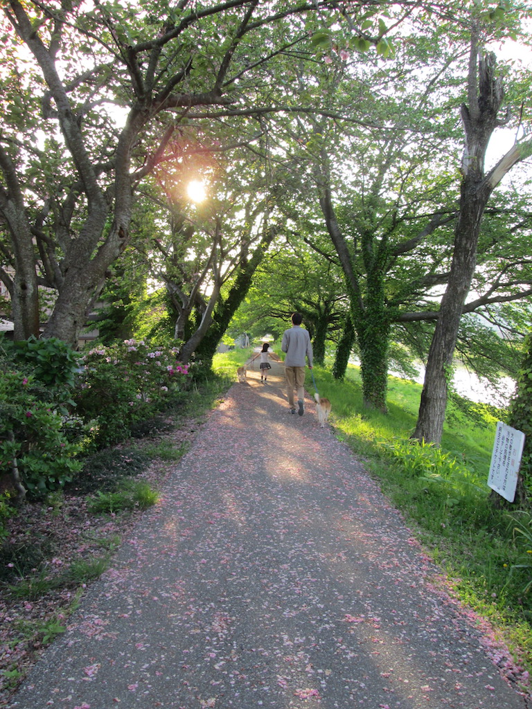 f:id:yonhonda:20180430161817j:plain f:id:yonhonda:20180430161817j:plain