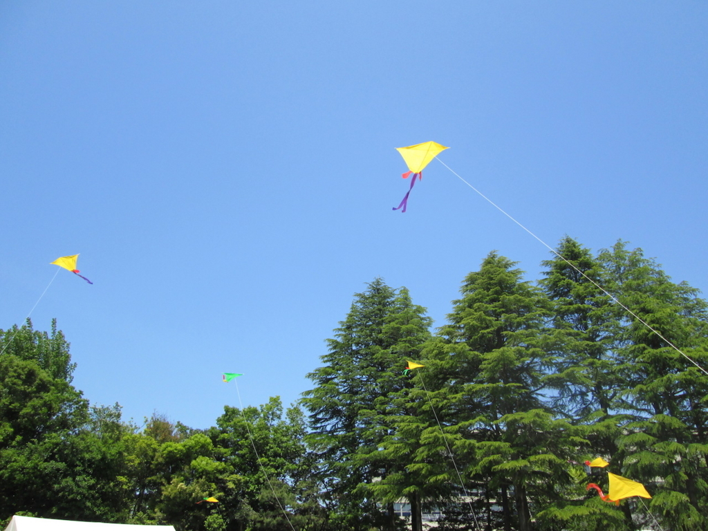 f:id:yonhonda:20180505134656j:plain f:id:yonhonda:20180505134656j:plain