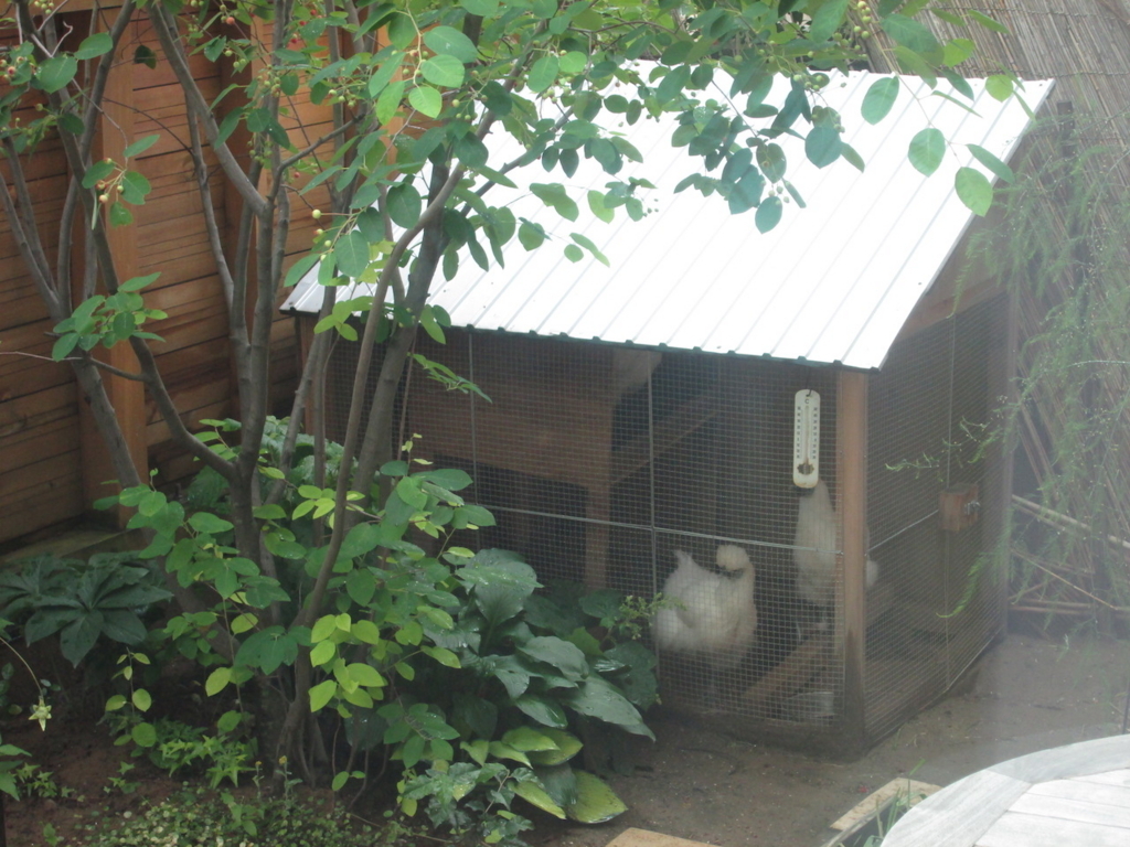 f:id:yonhonda:20180524095813j:plain f:id:yonhonda:20180524095813j:plain