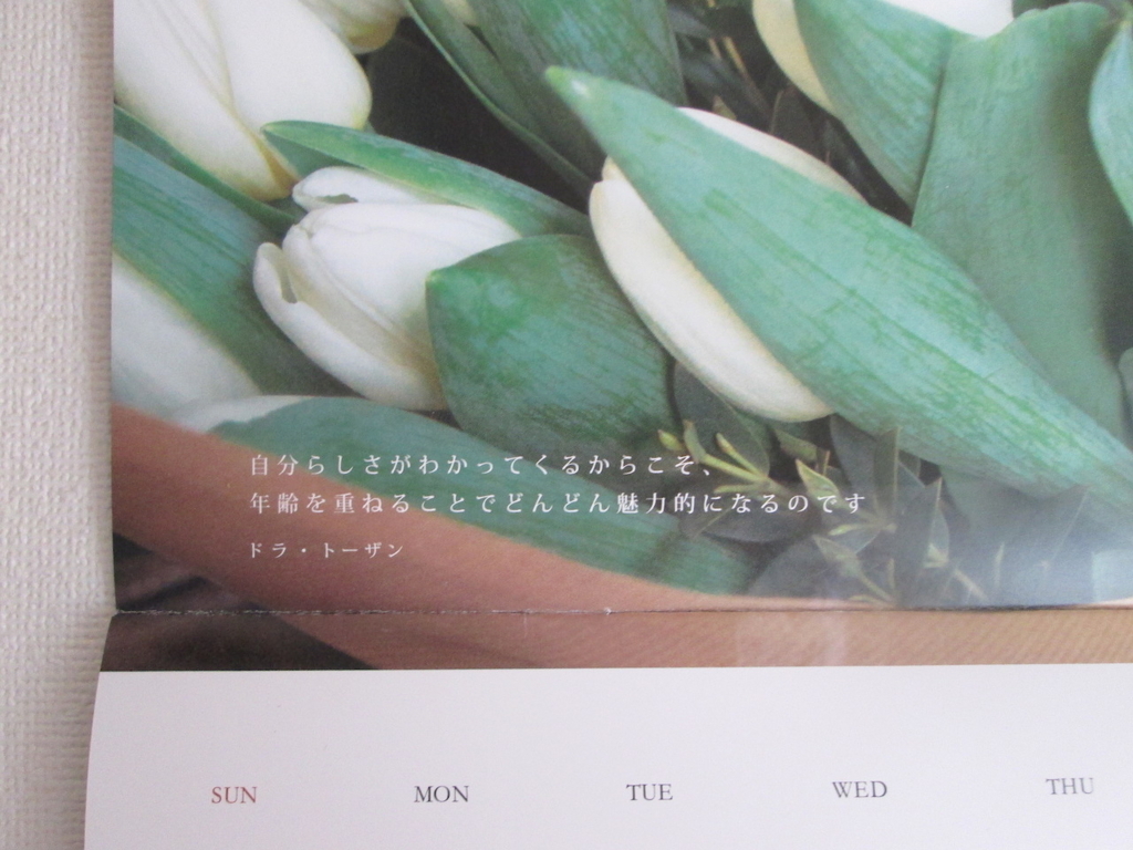 f:id:yonhonda:20180610125105j:plain