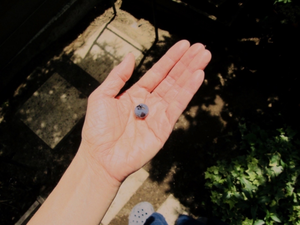 f:id:yonhonda:20180617191941j:plain f:id:yonhonda:20180617191941j:plain