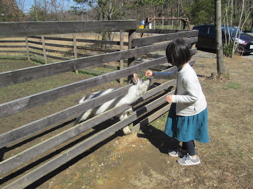 f:id:yonhonda:20190310080404j:plain