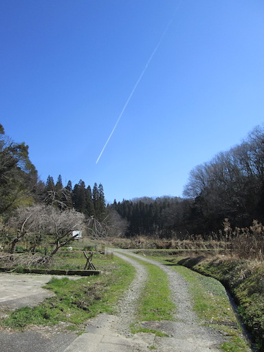 f:id:yonhonda:20190313095026j:plain