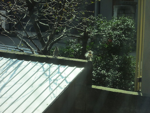 f:id:yonhonda:20190325095836j:plain