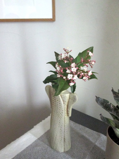 部屋にかざる庭の花 ビバーナム ティヌス と ラナンキュラス Days