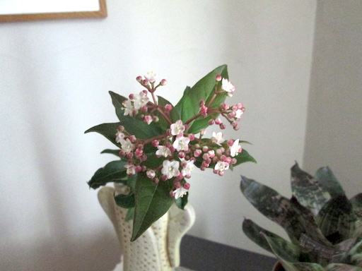 f:id:yonhonda:20190330074304j:plain