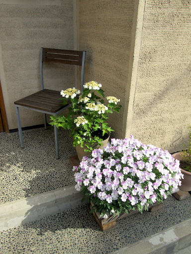 f:id:yonhonda:20190519080607j:plain