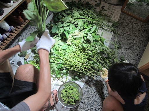 f:id:yonhonda:20190902093235j:plain