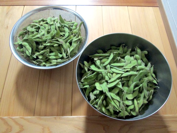 f:id:yonhonda:20190902093615j:plain