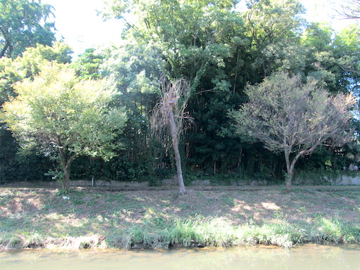 f:id:yonhonda:20190915211350j:plain f:id:yonhonda:20190915211350j:plain