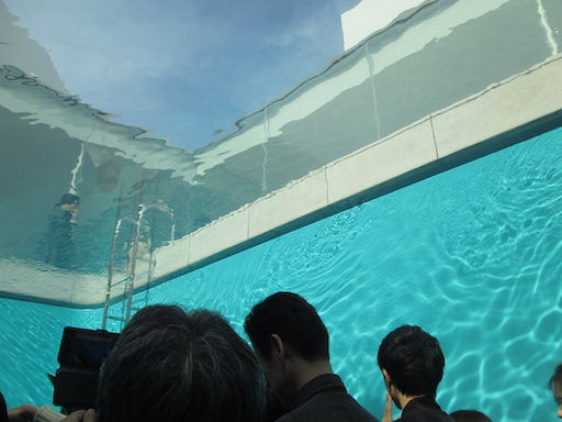 f:id:yonhonda:20191103174242j:plain