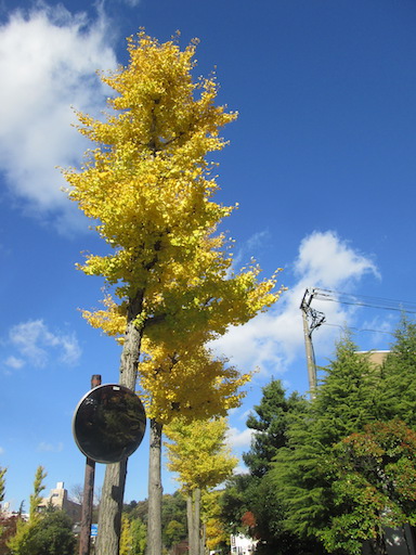 f:id:yonhonda:20191115150423j:plain f:id:yonhonda:20191115150423j:plain