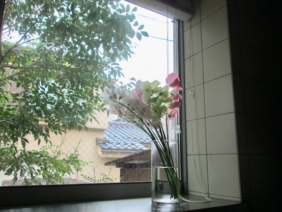 f:id:yonhonda:20191119113030j:plain f:id:yonhonda:20191119113030j:plain
