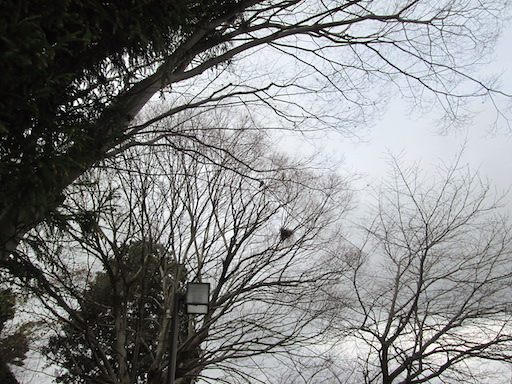f:id:yonhonda:20191220175628j:plain